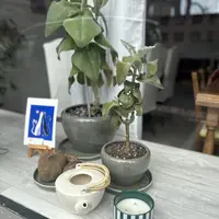 L'Infusion Collective, le café associatif et artistique qui ouvre à Mulhouse DR