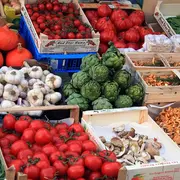 L'Injuste Prix De Notre Alimentation - Quels Coûts Pour La Société Et La Planète ?