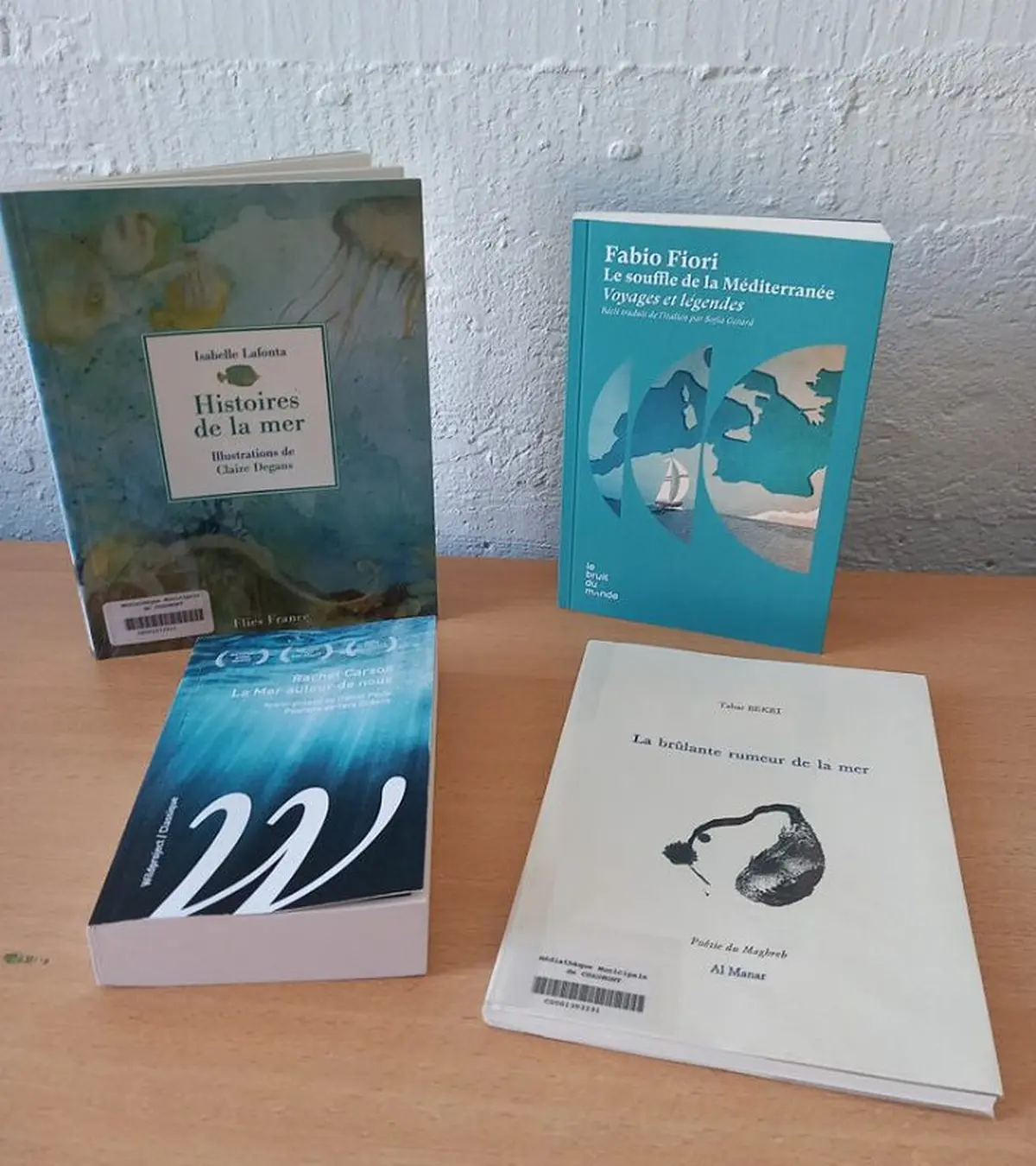 L’instant lectures – Ode à la grande bleue