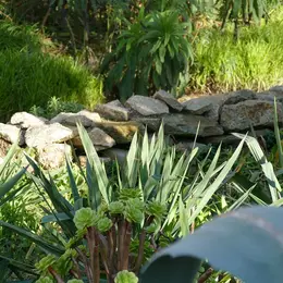 L'intérêt des murets en pierres sèches au jardin