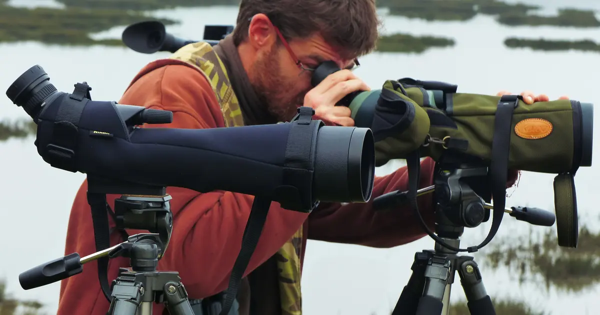 L'odyssée des oiseaux migrateurs