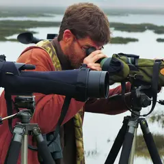 L'odyssée des oiseaux migrateurs