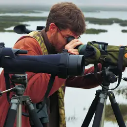 L'odyssée des oiseaux migrateurs