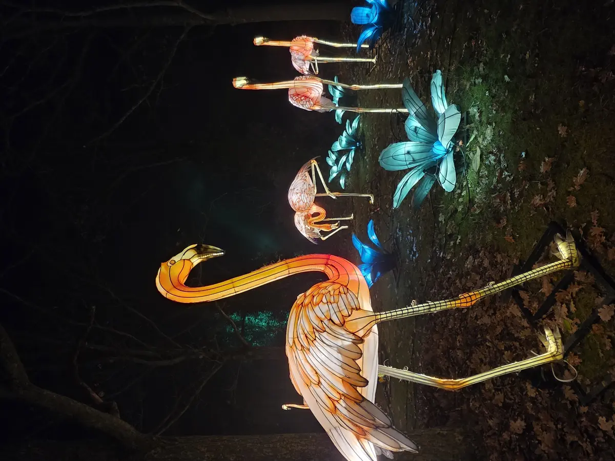 L'Odyssée Lumineuse