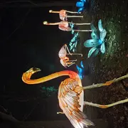 L'Odyssée Lumineuse