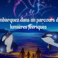 Un parcours de lumières féériques à Bordeaux ✨ DR