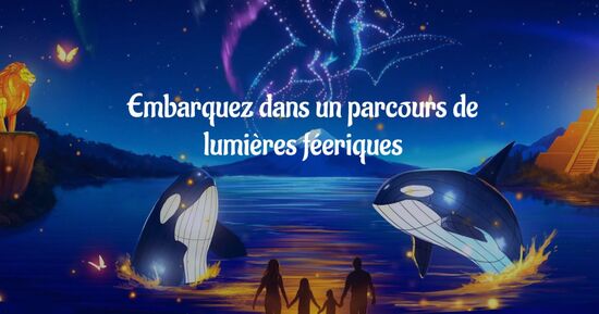 L'Odyssée Lumineuse - Bordeaux