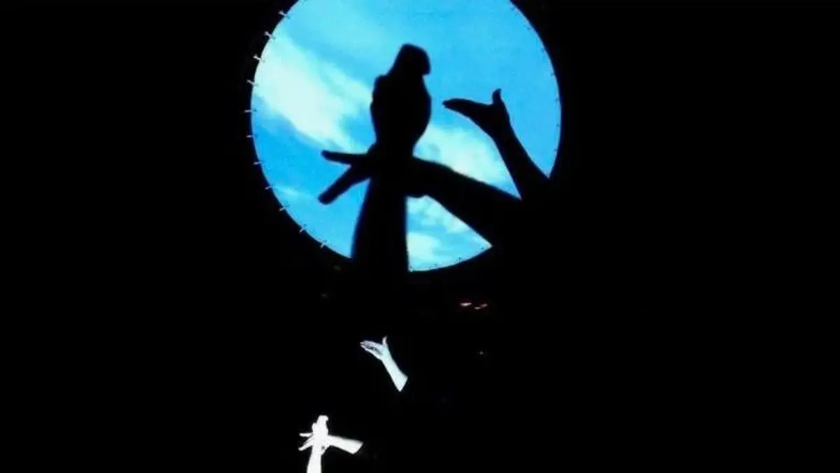 Un spectacle d'ombres chinoises