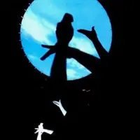 Un spectacle d'ombres chinoises &copy; L'Odyssée Lumineuse