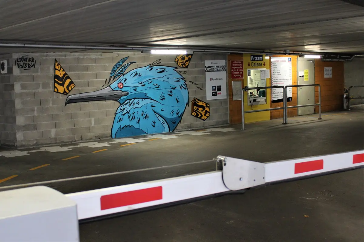 Le cormoran bleu de l'entrée