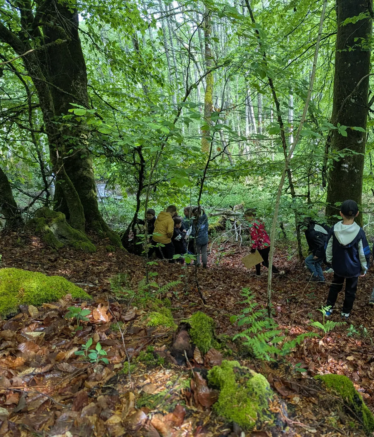 La balade des Grumelots