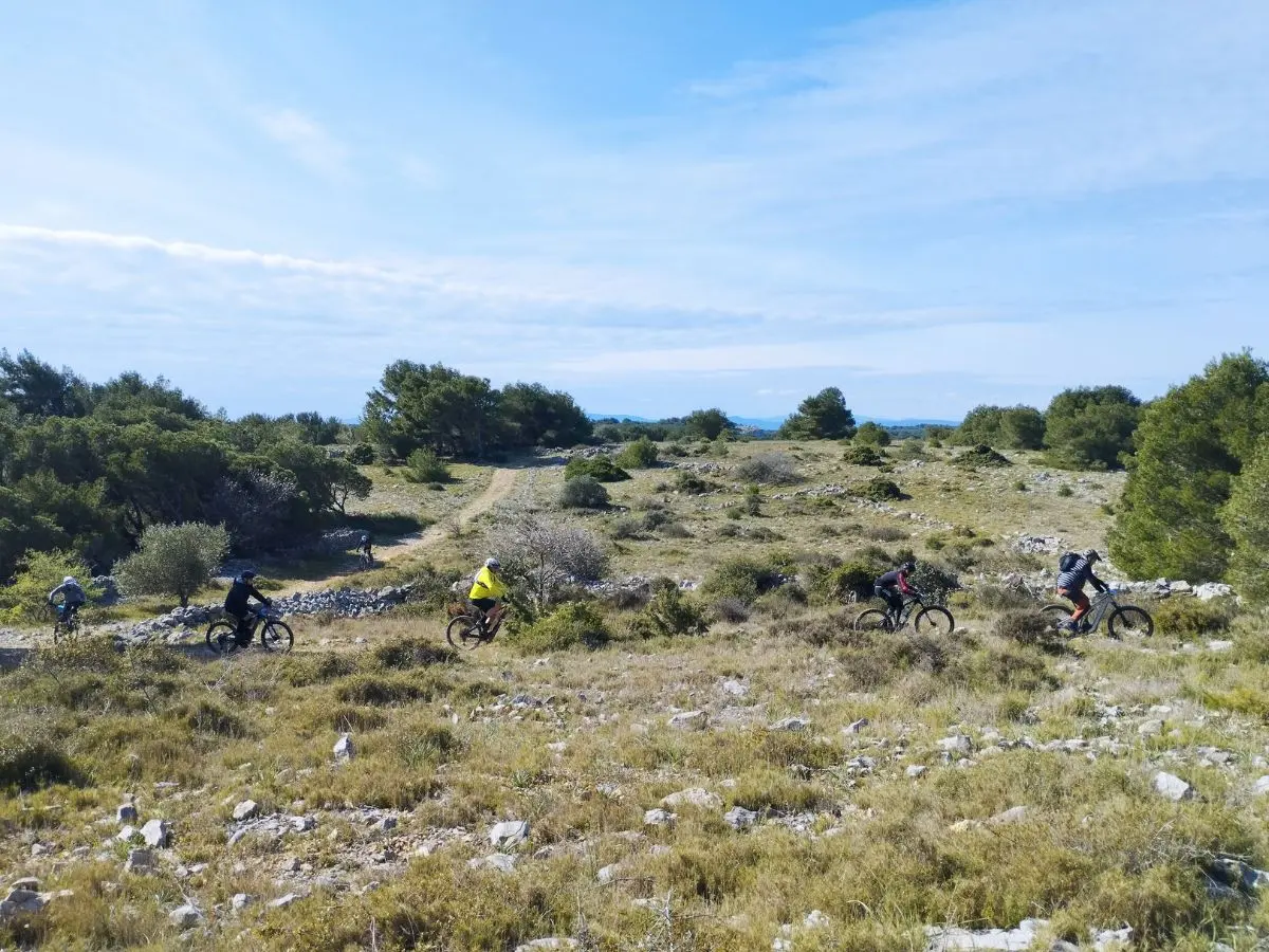 La Barberoule - Randonnée Vtt