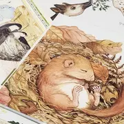 La Bébé-Bib : les toutes petites lectures