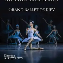 La belle au bois dormant