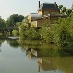 La beuquette du pat' : comme un poisson dans l'eau