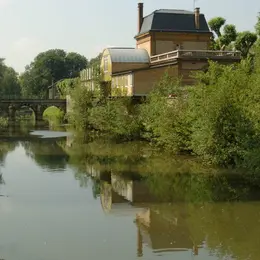 La beuquette du pat' : comme un poisson dans l'eau