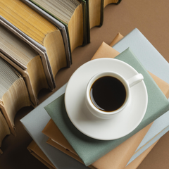 La bibliothèque au village retraite