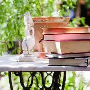 La bibliothèque en vadrouille