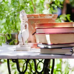 La bibliothèque en vadrouille