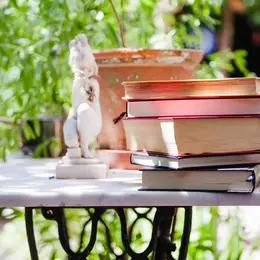 La bibliothèque en vadrouille