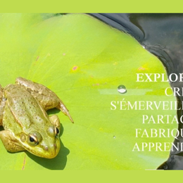 La biodiversité à Bretou