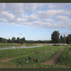 La biodiversité à la Corne d'Abondance