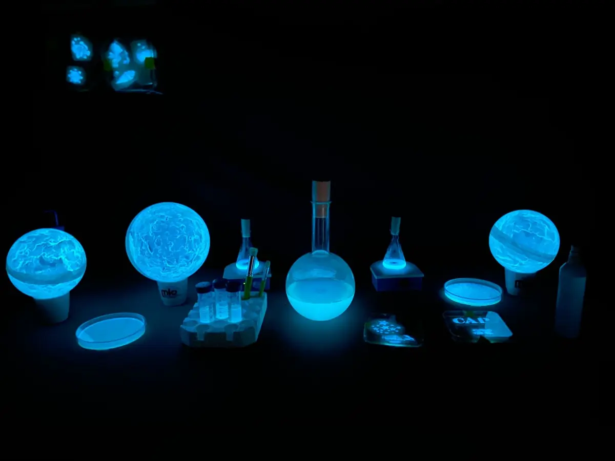La Bioluminescence, une idée lumineuse!