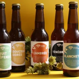 5 brasseries artisanales à découvrir en Alsace !