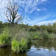 La Brenne, mosaïque de milieux
