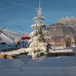 La Bulle