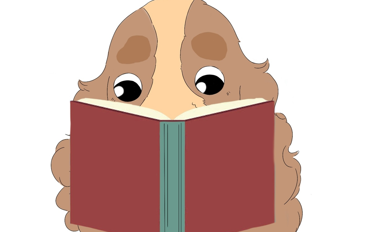 La cabane des petits histoires