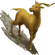 La Cabre d'Or : Découverte du jeu avec des sorties semi-guidées