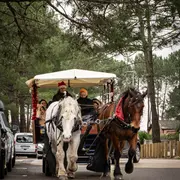 La calèche de Noël ● Noël 2025