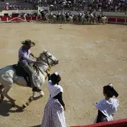 La Camargue aux Arènes