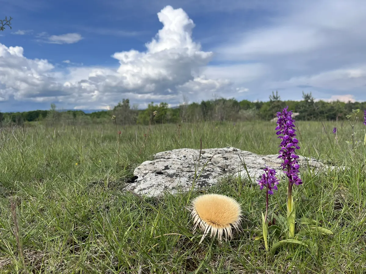 La Can De L'Hospitalet