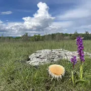 La Can De L'Hospitalet