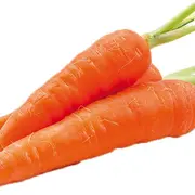 5 légumes simples à cultiver