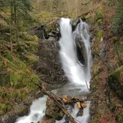 5 cascades à voir dans le massif vosgien