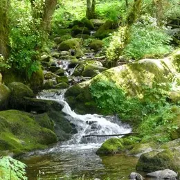 3 sites naturels vraiment insolites en Alsace et aux alentours