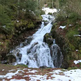 5 cascades à voir dans le massif vosgien
