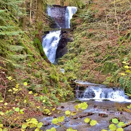 5 cascades à voir dans le massif vosgien