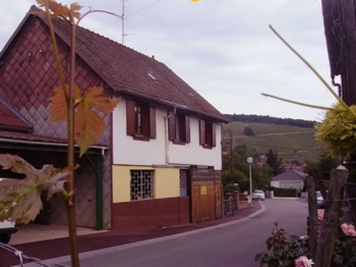 La cave du viticulteur Fred Schoen, à Barr