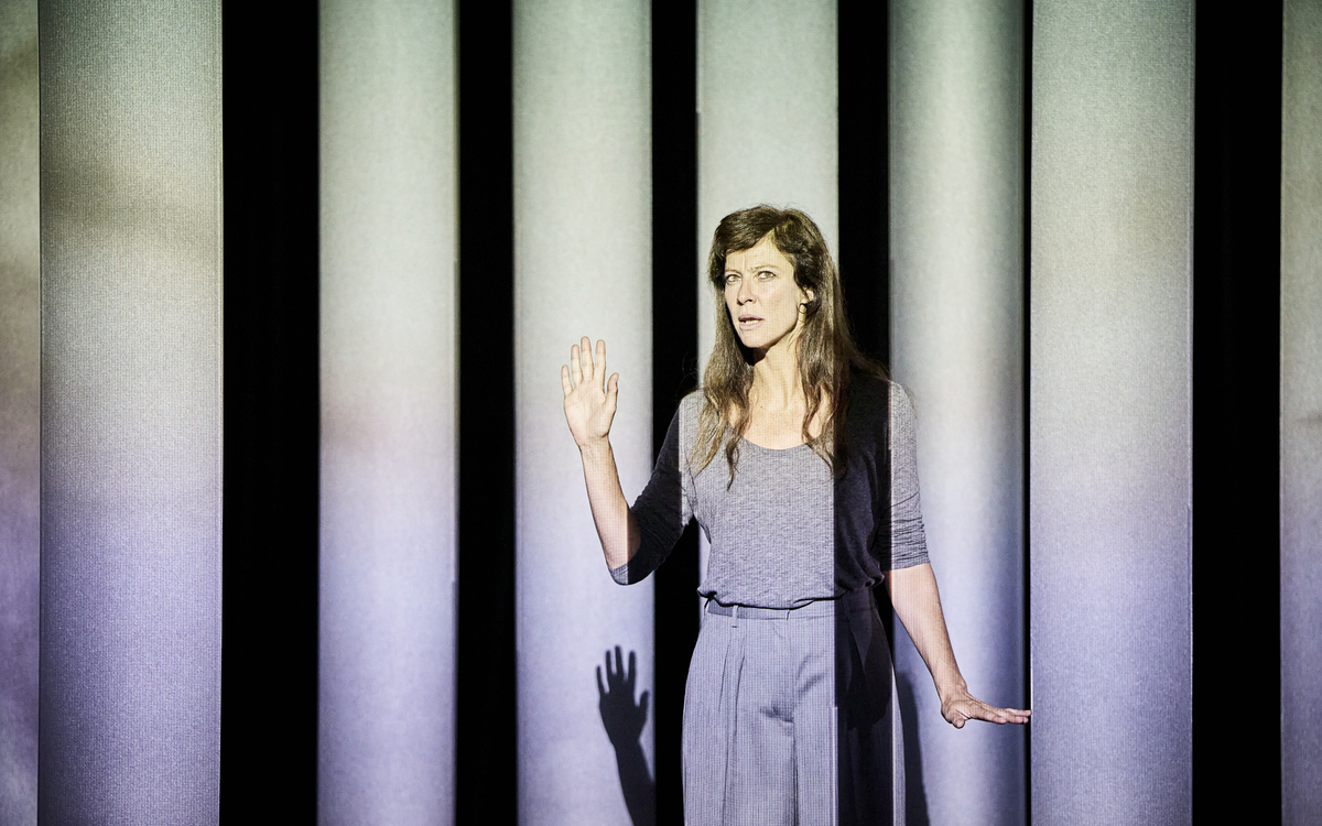 La chair est triste hélas