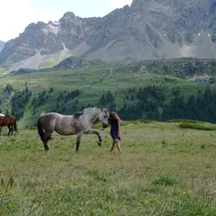 La Chevauchée