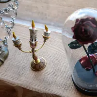 La Demeure Enchantée a des airs de château Disney &copy; Michel Laurent - Bol d'Air