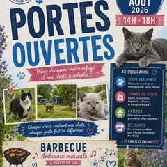 La compagnie des chats bleus : Portes ouvertes
