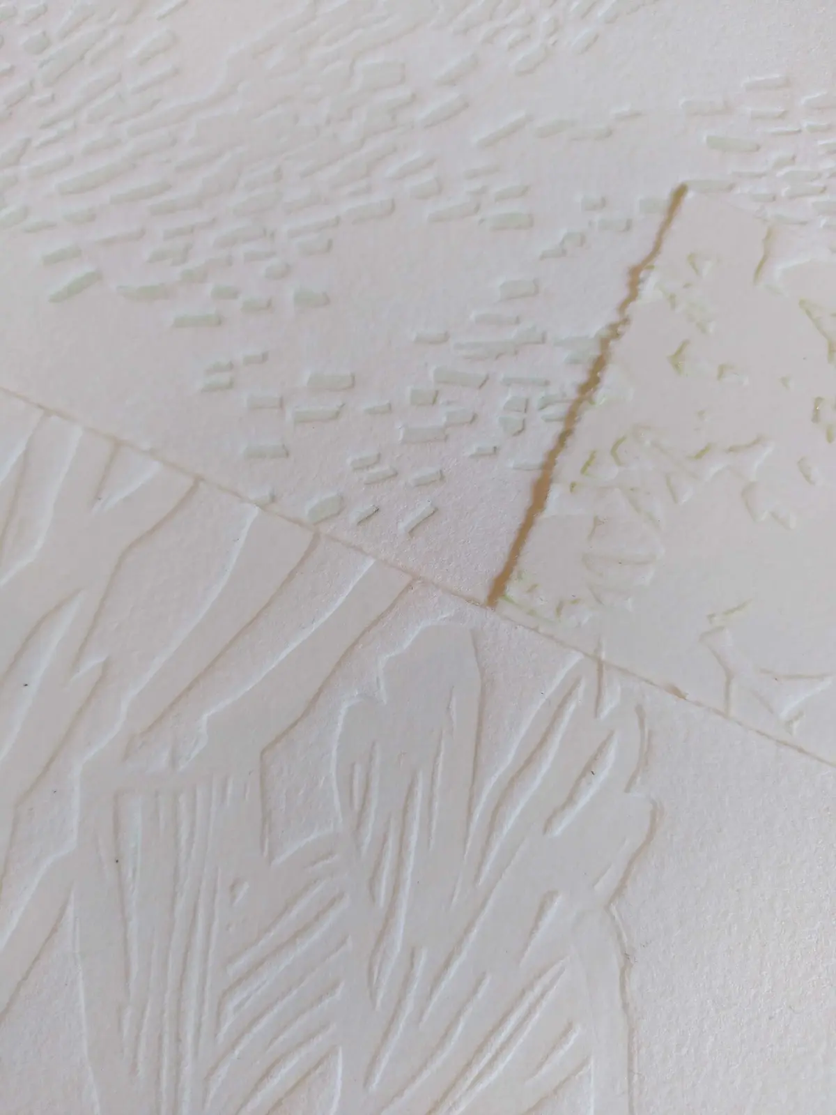 La cour des arts : Autour de l'estampe - Gaufrage avec Marine Domec