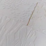 La cour des arts : Autour de l'estampe - Gaufrage avec Marine Domec