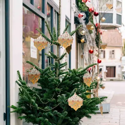 La Cour des Maréchaux entre dans la magie de Noël ✨