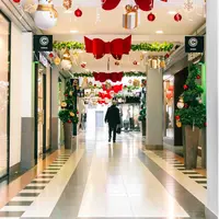 Les allées de La Cour des Maréchaux DR